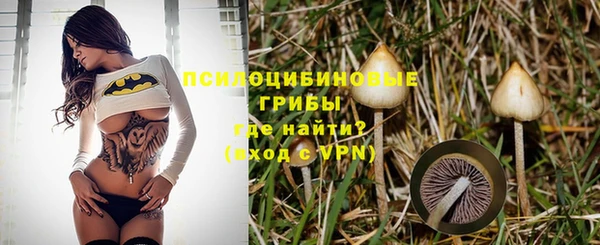 соль ск Балахна