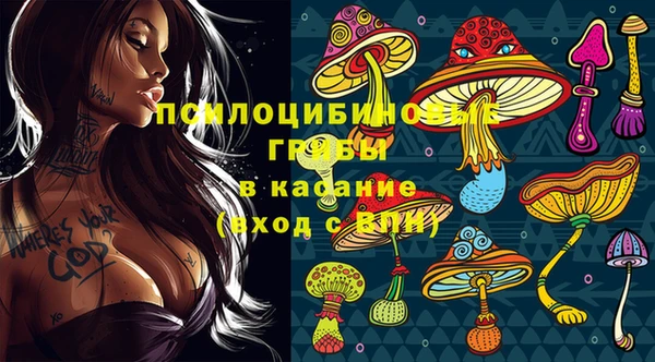 соль ск Балахна